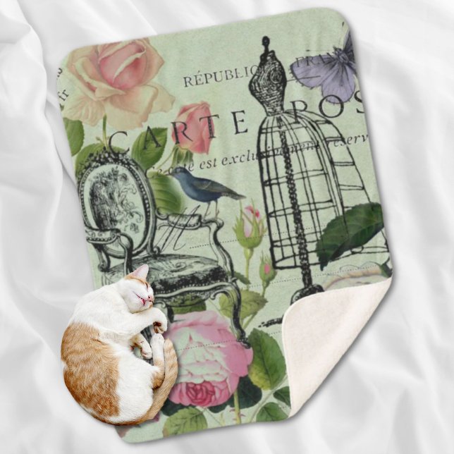 Couverture Sherpa minder vintage french rose butterfly paris (mint modern vintage french rose butterfly paris sherpa blanket)