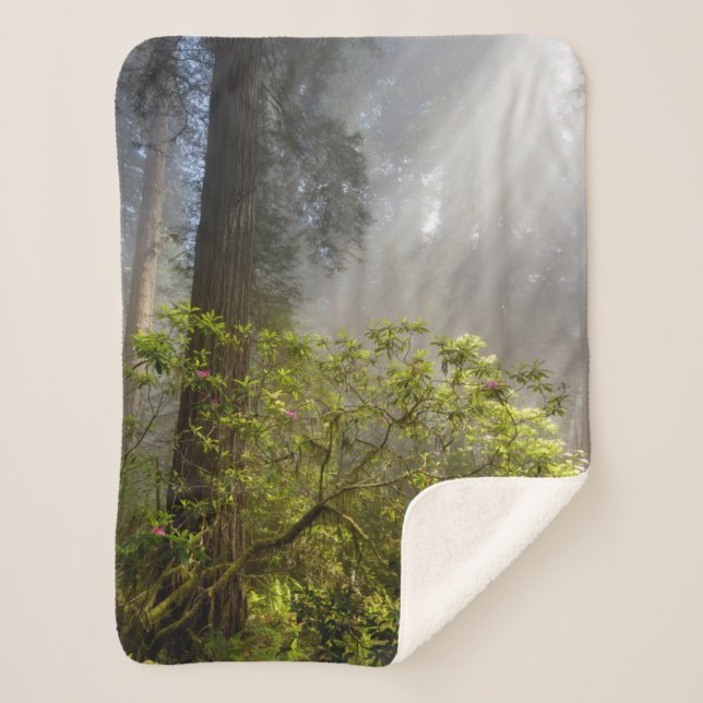 Couverture Sherpa Mist du matin sur Rhododendron (Devant)