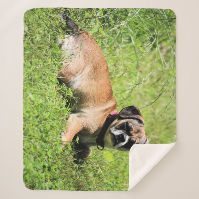 Couverture Sherpa Molly (Devant)