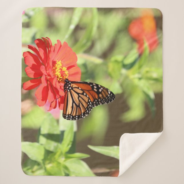 Couverture Sherpa Monarque d'octobre (Devant)