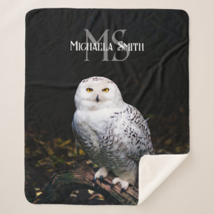 Couverture Sherpa Monographie de hivernal majestueux hivernal