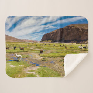 Couverture Sherpa Montagnes   Andes boliviennes
