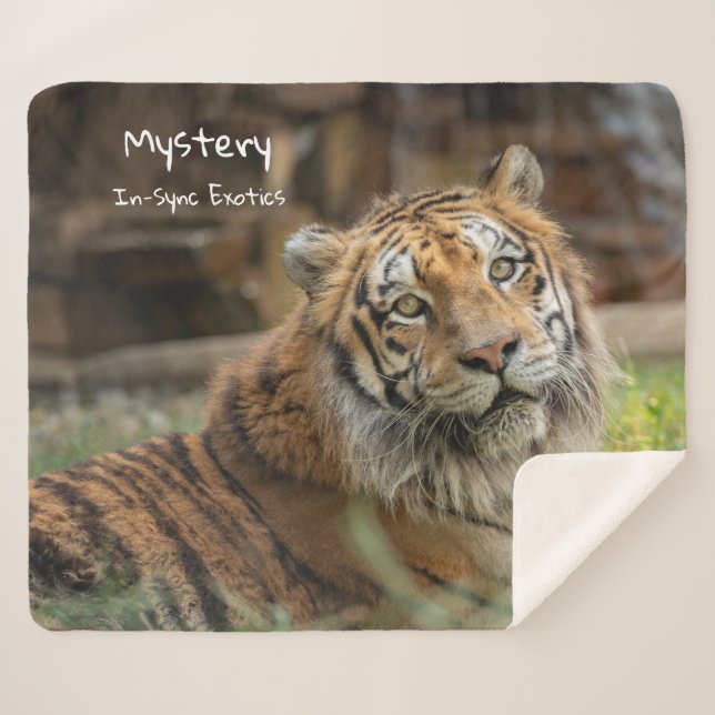 Couverture Sherpa Mystère -  (Devant (Horizontal))