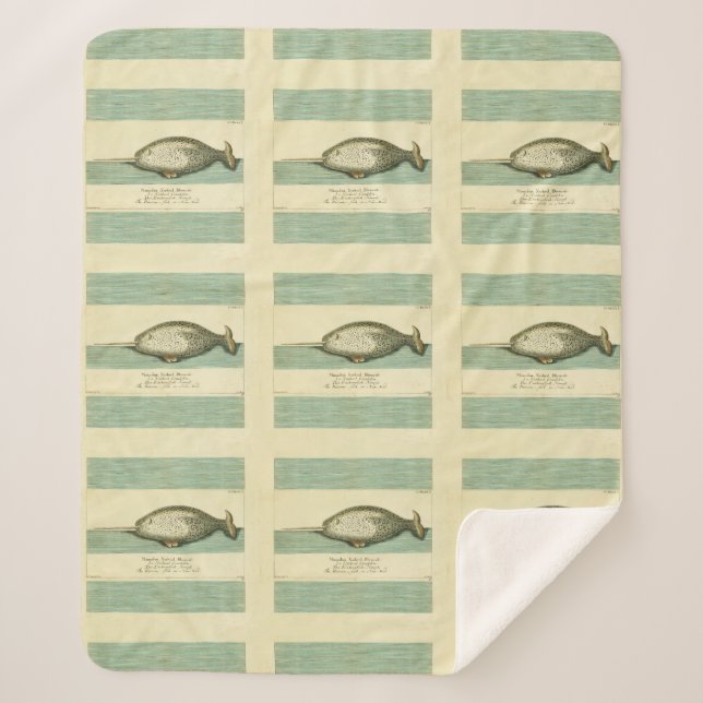 Couverture Sherpa Narwhal Antique Baleine Aquarelle Art scientifique (Devant)