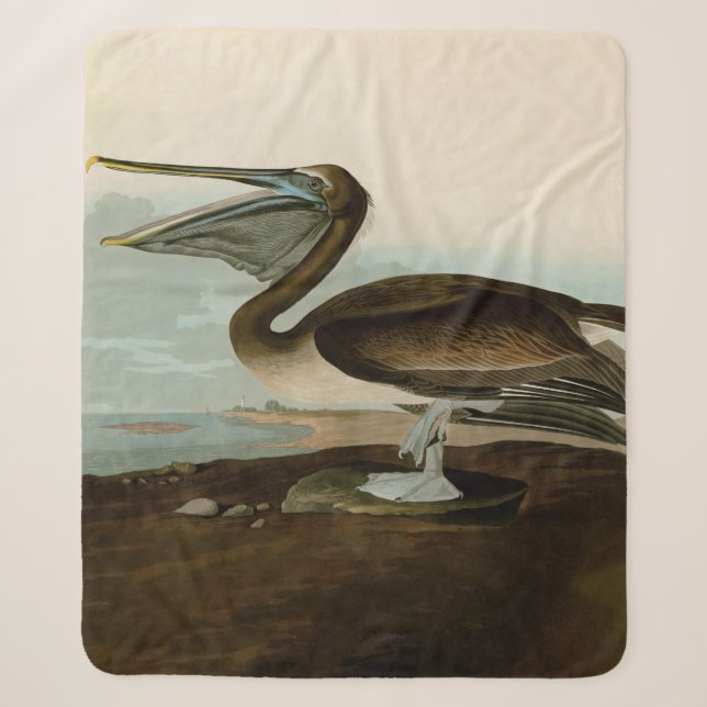 Couverture Sherpa Œuvre d'art de Pélican Brun de John James Audubon  (Devant)