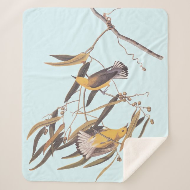 Couverture Sherpa Oiseau de Paruline Prothonotaire Jaune d'Audubon (Devant)