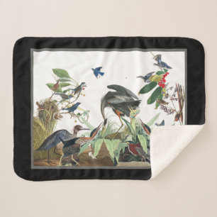 Couverture Sherpa Oiseaux du Grand Héron bleu d'Audubon Sherpa Blan