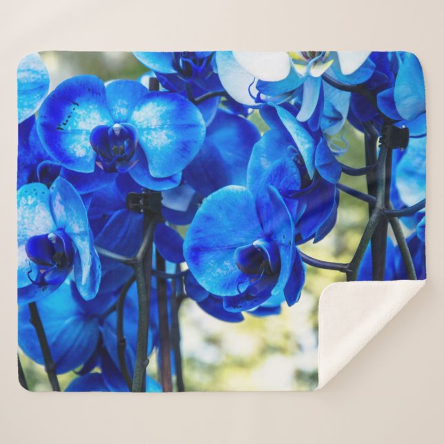 Couverture Sherpa Orchidées bleues (Devant (Horizontal))