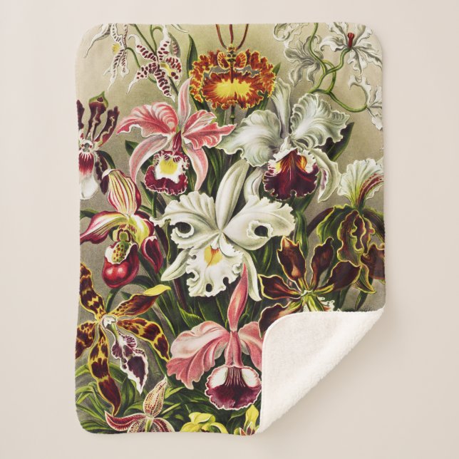 Couverture Sherpa Orchidées, Orchidée Denusblumen Ernst Haeckel (Devant)