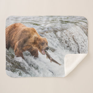 Couverture Sherpa Ours brun attrape un saumon rouge