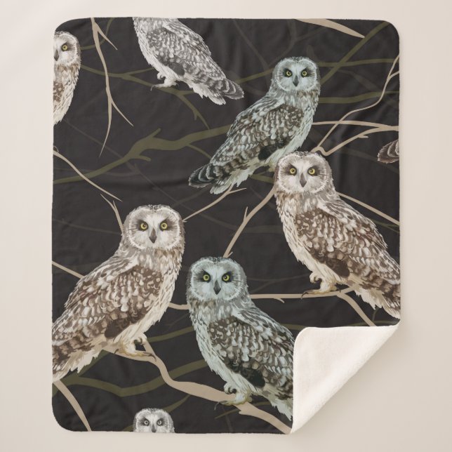 Couverture Sherpa owl sitting on a branch (Devant)