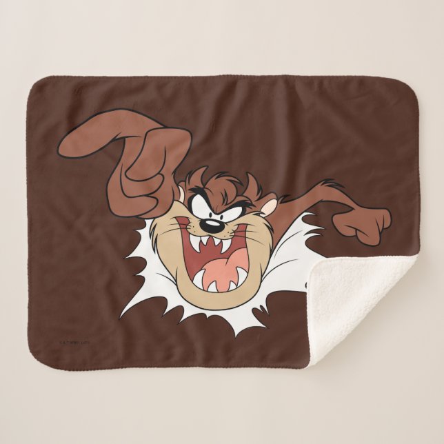 Couverture Sherpa Page TZ™ Burning Through (Devant (Horizontal))