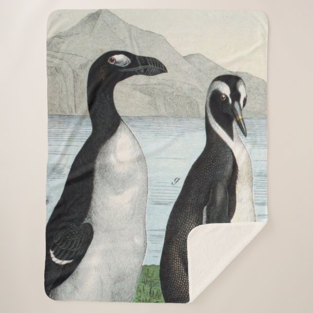 Couverture Sherpa Paire de manchots - Serviette de plage (Devant)