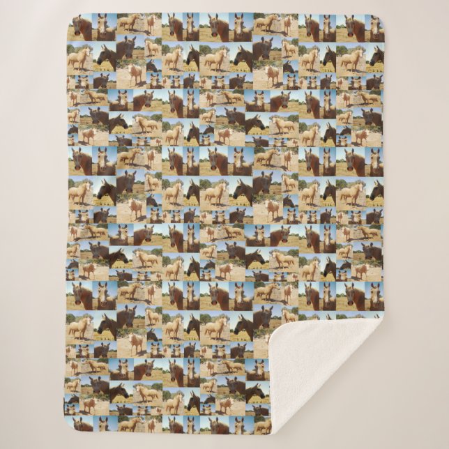 Couverture Sherpa Palomino Horses Collarge, (Devant)