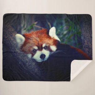 Couverture Sherpa Panda rouge