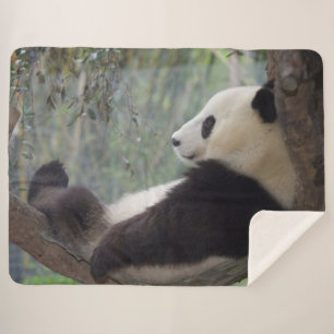 COUVERTURE SHERPA PANDA SNOOZE