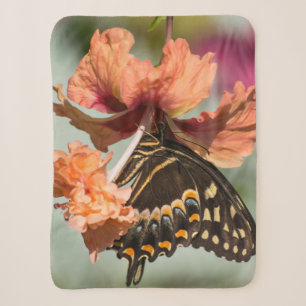 Couverture Sherpa Papillon de machaon sur la ketmie orange