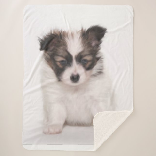 COUVERTURE SHERPA PAPILLON PUPPY (Devant)