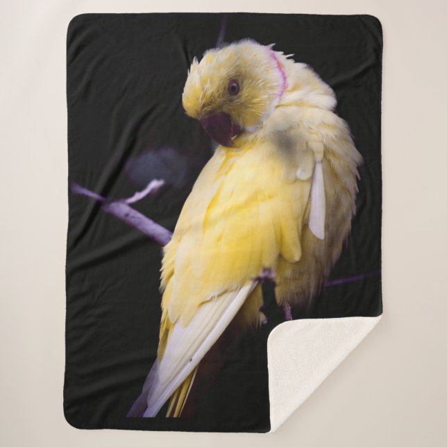 COUVERTURE SHERPA PARAKEET JAUNE (Devant)