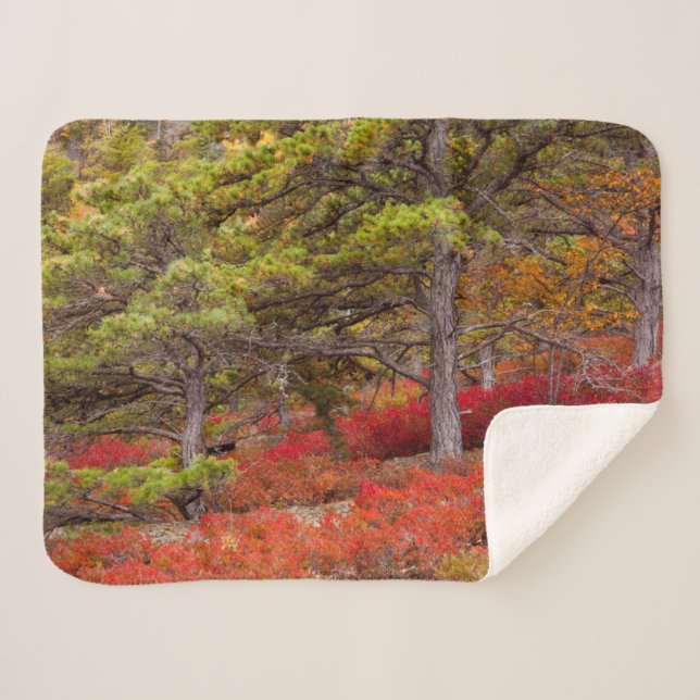Couverture Sherpa Parc national d'Acadia, Maine (Devant (Horizontal))