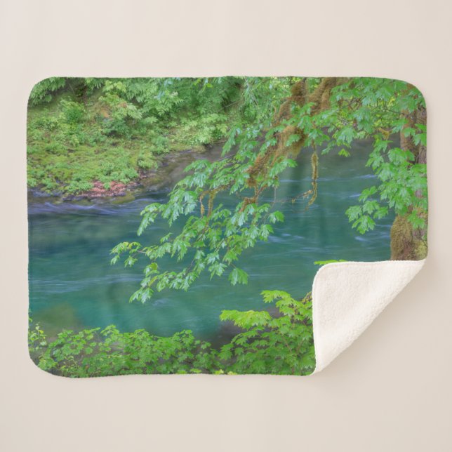 Couverture Sherpa Parc national Olympique, État de Washington (Devant (Horizontal))