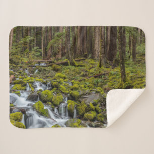 Couverture Sherpa Parc national olympique, État de Washington