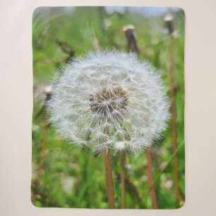 Couverture Sherpa Parfaite dent-de-lion – Photographie botanique mac