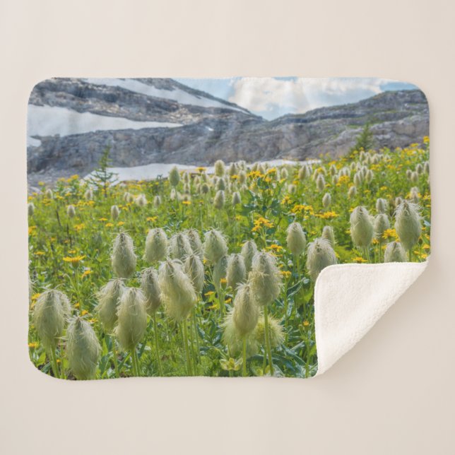 Couverture Sherpa Pasqueflower occidental | Monts East Kootenay (Devant (Horizontal))