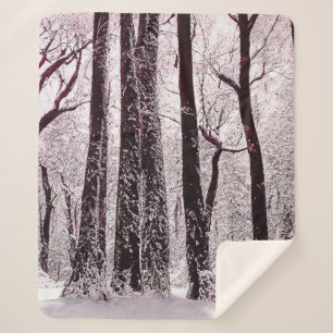 COUVERTURE SHERPA PAYSAGE HIVERNAL NEIGEUX DES BOIS FORESTIERS