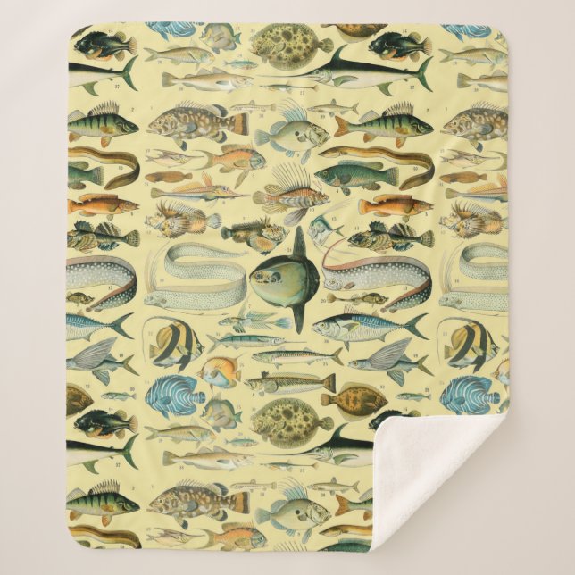 Couverture Sherpa Pêche scientifique vintage (Devant)