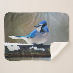 Couverture Sherpa Peinture Jay Bleu - Art Oiseau Original