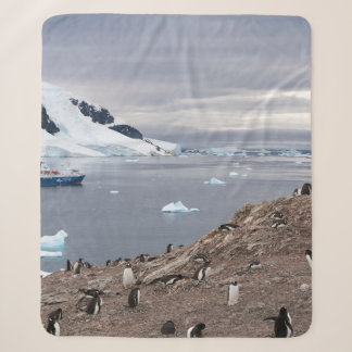 COUVERTURE SHERPA PENGUINS BESEIN