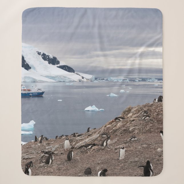 COUVERTURE SHERPA PENGUINS BESEIN (Devant)
