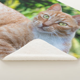 Couverture Sherpa Petit chou doux