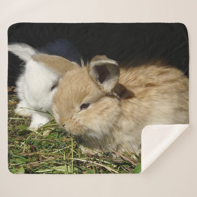 Couverture Sherpa Petit lapin moelleux (Devant (Horizontal))