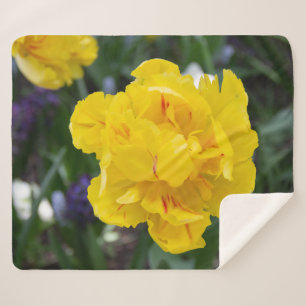 Couverture Sherpa Petites tulipes jaunes dans le jardin