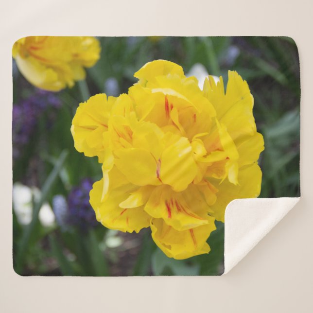 Couverture Sherpa Petites tulipes jaunes dans le jardin (Devant (Horizontal))