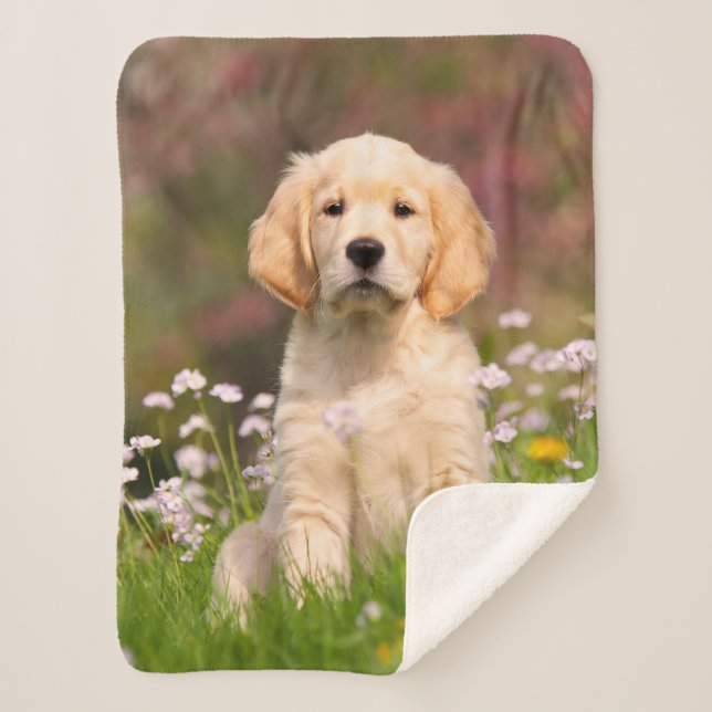 Couverture Sherpa Photo mignonne d'animal de visage de chiot de (Devant)