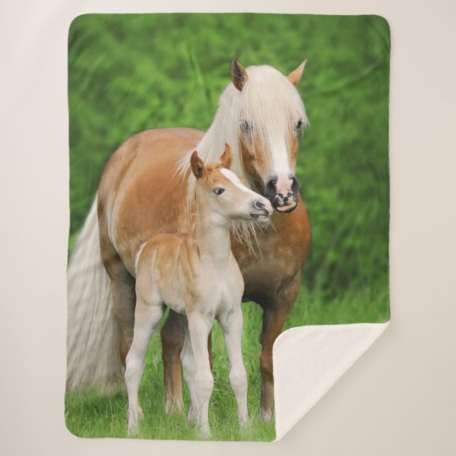 Couverture Sherpa Photo mignonne de poney de maman de baiser de (Devant)