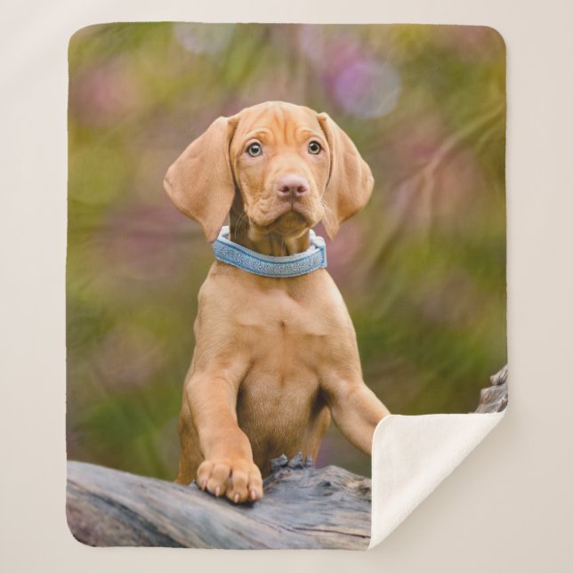 Couverture Sherpa Photo puppyeyed mignonne de chiot de chien de (Devant)