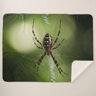Couverture Sherpa Photographie d'araignée du jardin d'or