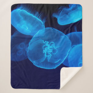 COUVERTURE SHERPA PHOTOGRAPHIE DE CLOSEUP DE SWARM DE JELLYFISH