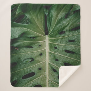 Couverture Sherpa Plante de feuille verte