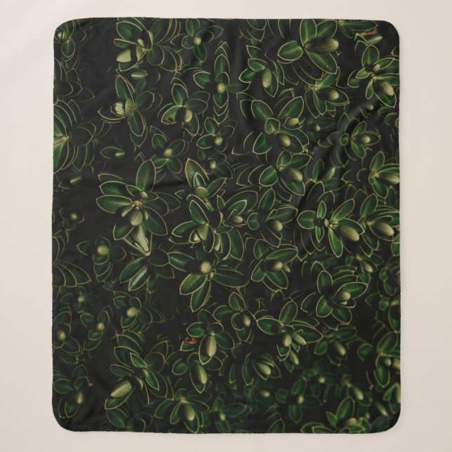 Couverture Sherpa Plante de feuille verte (Devant)