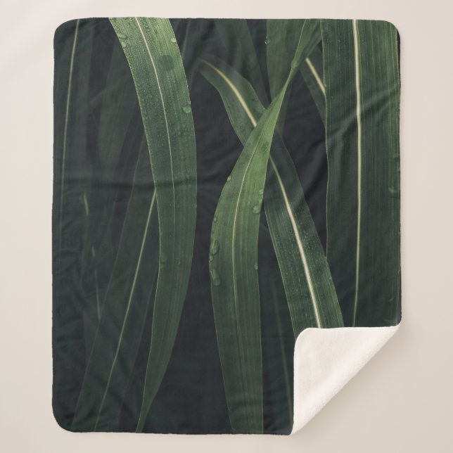 COUVERTURE SHERPA PLANTE VERT (Devant)