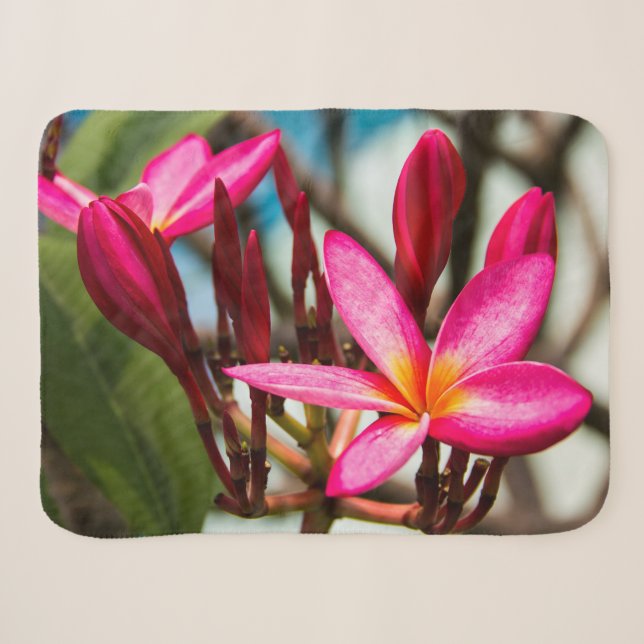 Couverture Sherpa Plumeria arrière - plan de fleurs exotiques (Devant (Horizontal))