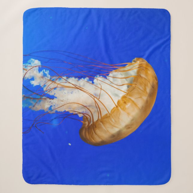 COUVERTURE SHERPA POISSON BROWN (Devant)