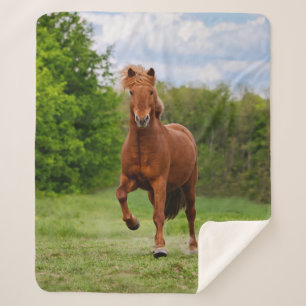 Couverture Sherpa Pony islandais Coups Tölt Amoureux de la photo
