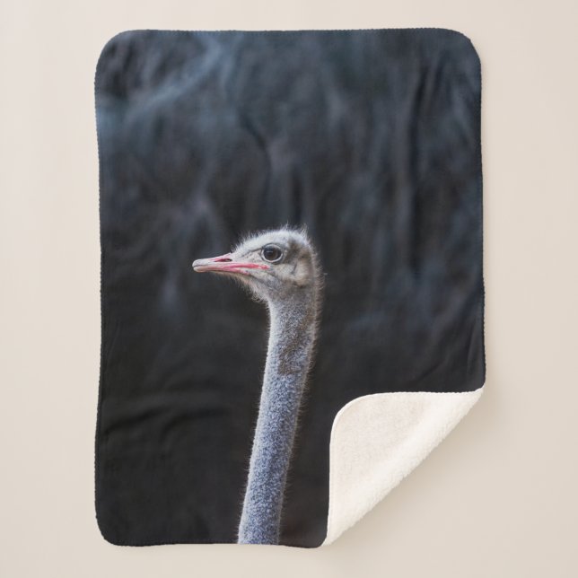 Couverture Sherpa portrait d'autruche (Devant)