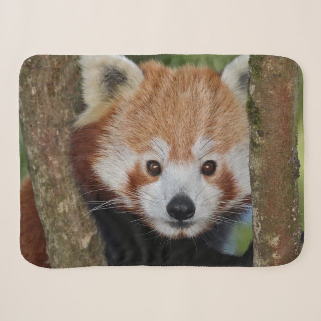 Couverture Sherpa Portrait de Panda (Devant (Horizontal))
